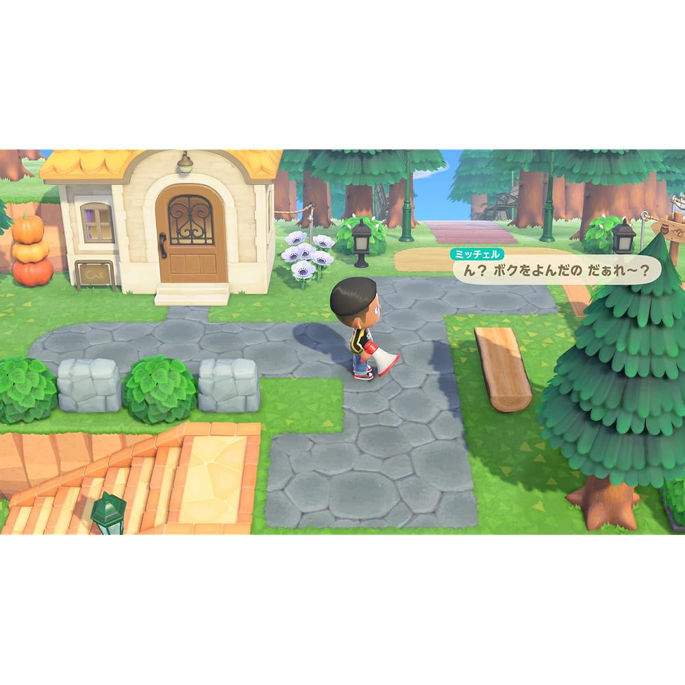 Animal Crossing: New Horizons Nintendo Switch 2 Edition -Switch 2