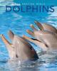 Книга Dolphins Amazing Pictures Fun Facts On Animals In Nature by Kay De Silva - Paperback