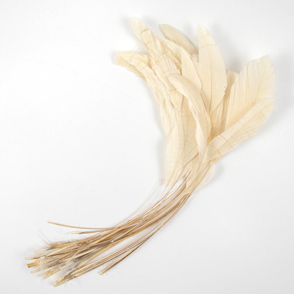 10Pcs Multicolor Rooster Feather Natural Feather Clothing Accessories Feathers Headwear Accessories
