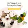 Simulation Bird Interactive Cat Toys Electric Sounding Birds Cat Chew Bite Plush Toys Cat Supplies