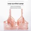 Lace Thin Women's Bra, No Padding, Supportive for Large Breasts, Steel Ring, Large Cup Sizes