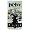 HARRY POTTER Всегда магнитная закладка