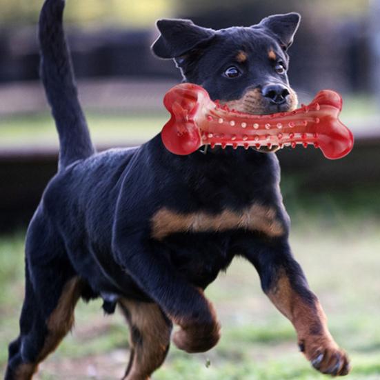 Игрушка-жевалка из натурального каучука для собак, кость для чистки зубов со вкусом говядины, облегчение при прорезывании зубов, безопасная игрушка для собак крупных пород