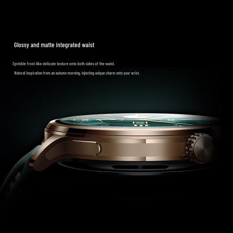 HONOR Smart Watch 4 Pro (CN version)
