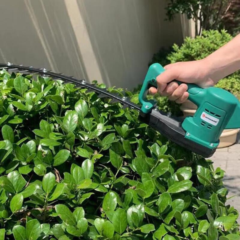 Qinyan Cordless Electric Pruning Shear & Hedge Trimmer CN plug (adapter included)