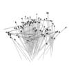 100Pcs Good Flexibility Lab Accessories Entomology Insect Dissections Supplies Needle Specimen Pins Pin