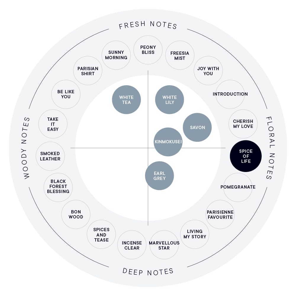 SHIRO PERFUME SPICE OF LIFE Кондиционер 450г