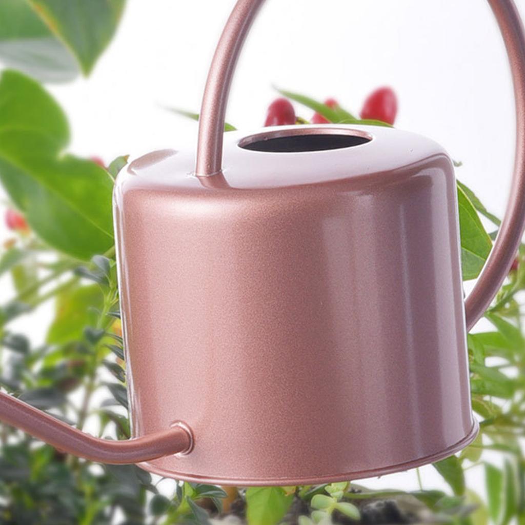 1.3L Watering Can for Indoor Plants Flower Long Spout Watering Can Water Can with Ergonomic Handle