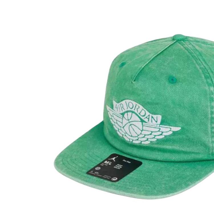 Nike Дизайн логотипа Хлопок Полиэстер Бейсболка Унисекс Шляпы Зеленый IB3009-324