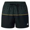 Quiksilver Mens Geometric Star Swim Shorts