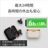 Беспроводные наушники-вкладыши Sony WF-1000XM3 с шумоподавлением (черный)