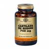 CARTILAGE DE REQUIN 750MG 90 Capsules