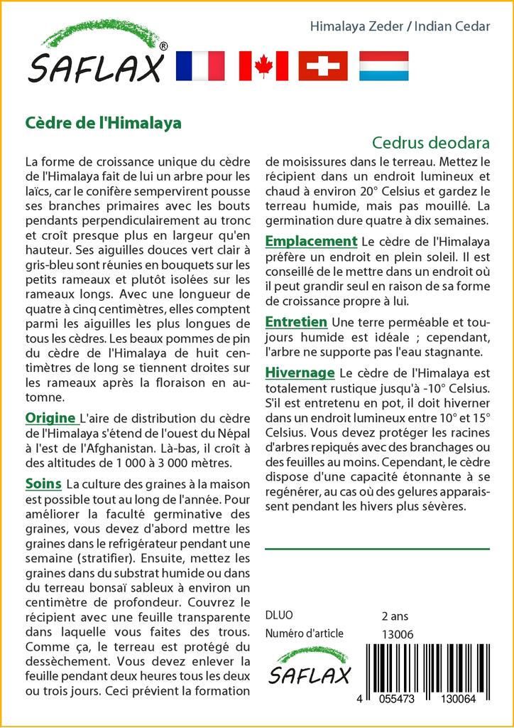 SAFLAX Кедр индийский - 35 семян - Cedrus deodara