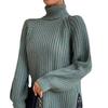 Autumn Winter Turtleneck Women Knitted Sweater New Fashion Long Sleeve Plus Size Split Pullover Sweaters Loose Casual Tops Solid Color Clothing 1681