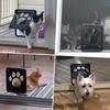 PETLESO Маленькая дверца для собаки на сетчатую дверь, Дверца для кошки 8"×10" Магнитная заслонка Самозакрывающаяся, Дверца для питомца на сетчатую раздвижную дверь, Встроенная дверца для щенка и кошки