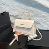 High-value Women's Bag 2025 Summer New Simple Casual High-value Messenger Bag Versatile Temperament Small Square Bag