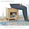 Toya Pet Stool Natural W40×D40×H45 PET-63 W40×d40×h45cm