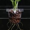 Прозрачная гидропонная корзина для растений подставка для аквариумных растений подвесной горшок для цветов для аквариума чашка