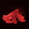 Светящаяся имитация золотой рыбки, медузы, украшения, силиконовый цилиндр, аквариумы
