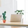 Cactus Coaster,Coasters Cactus Set,DIY Round Cup Coasters with Flowerpot Holder Creative DIY Cacti