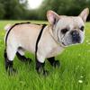 Anti-Dirt Dog Suspender Boots Pet Legging Boots Paw Protector French Bulldog Suspender Boots For Small To Large Breeds