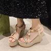 Fashion Metal Decor Wedge Sandals for Women Summer 2025 Braided Band Platform Sandals Woman Thick Bottom Beach Sandalias