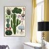 Современные растения, цветы, живопись, винтажные ботанические плакаты с кактусами и принты, настенная художественная картина для ванной комнаты, домашний декор, Cuadros