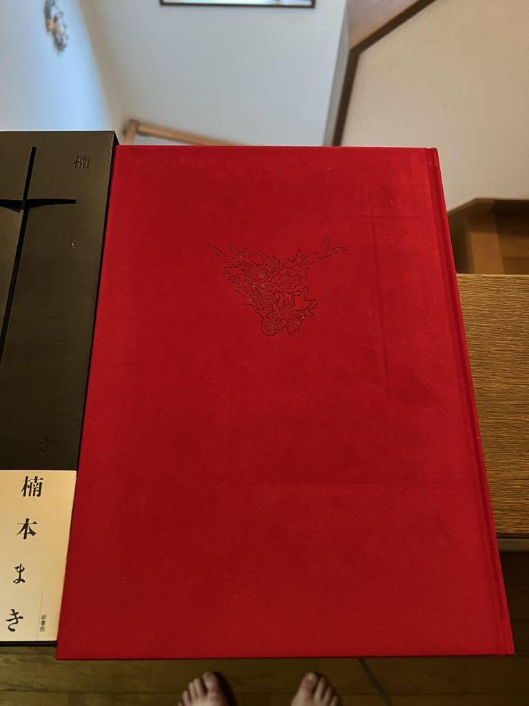 [Б/У] Два десятилетия: Первый сборник иллюстраций Маки Кусумото