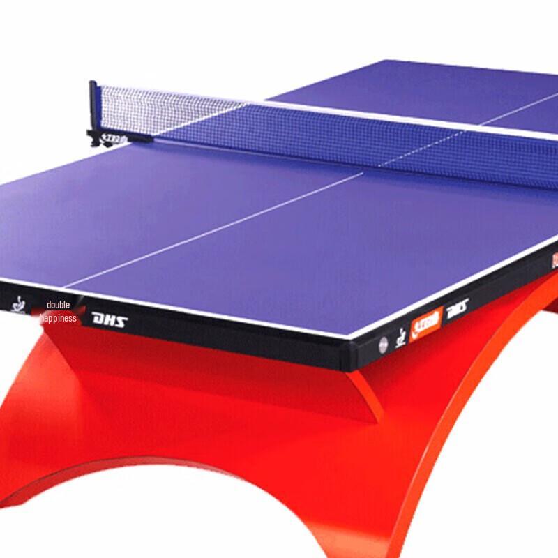 DHS Big Rainbow Competition Table Tennis Table