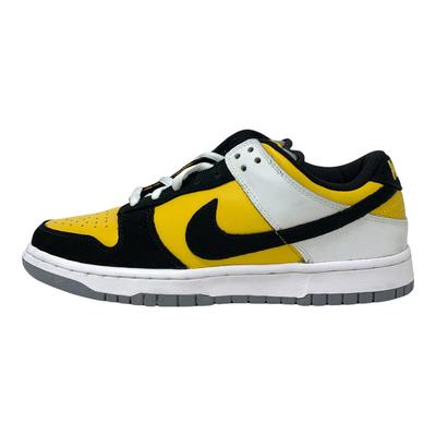 Sb Dunk Low Bic 304292-701