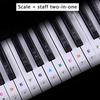 Transparent Piano Keyboard Sticker Removable Electronic Keyboard 37/49/54/61/88 Key Piano Sticker