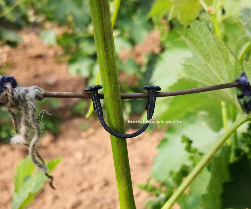 Зажим для подвязывания винограда и киви: Прочный сельскохозяйственный пластиковый крючок