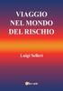 Книга Viaggio Nel Mondo Del Rischio