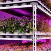 Full Spectrum LED Plant Growth Light Board Supplement Light for Seedlings Veg Bloom Succulents
