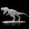 Набор для моделирования динозавров Rymax Skeleton Tyrannosaurus, корейская популярная бандай