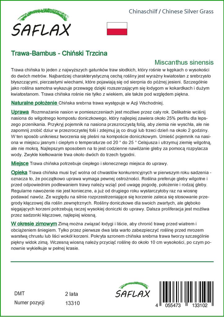 SAFLAX Китайская серебристая трава - 200 семян - Miscanthus sinensis
