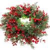 American Red Fruit Christmas Decoration Wreath Eucalyptus Rattan Eucalyptus Leaf Door Hanging Window Arrangement Holly Fruit