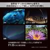 OM SYSTEM Fisheye Lens DIGITAL ED 8mm Fisheye PRO Starry Landscape M.ZUIKO F1.8 Sky/Nature