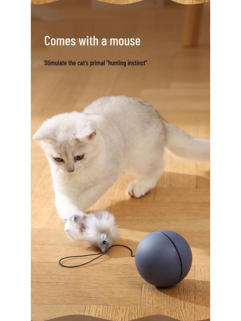Smart Interactive Cat Toy Ball: Automatic, Bite & Scratch Resistant, Self-Play Boredom Relief with Mouse Design