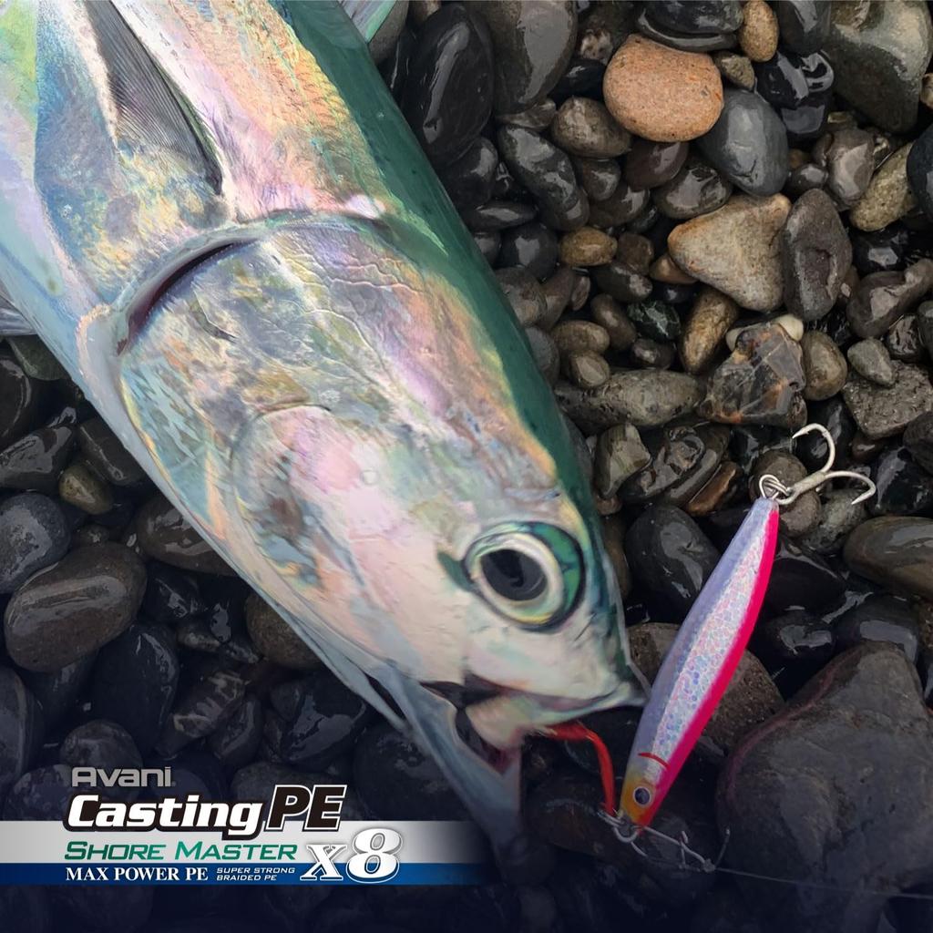 VARIVAS Avani Casting PE Max Power X8 Shoremaster PE 8 White Line, 200m, 1.5, 28.6lb, Strands,