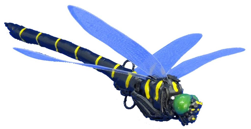 Repelling Finished Product Oni-Dragonma ~