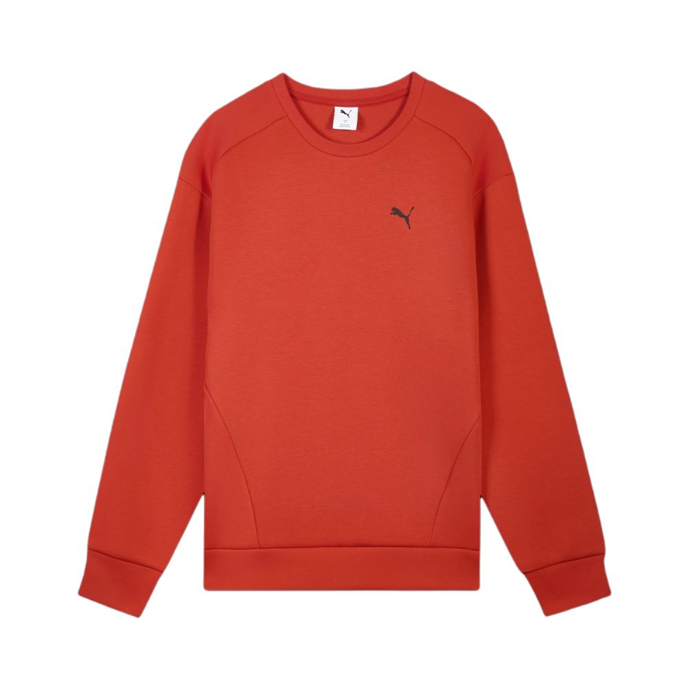 Puma Fw25 Худи с круглым вырезом Mfo D Спортивное Повседневное Свободный крой Круглый вырез Рукав реглан Худи унисекс 695004-11