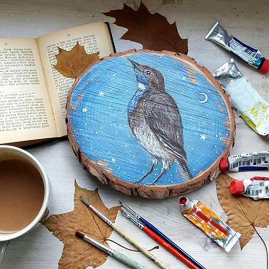 Natural Wood Tree Discs 9-10cm Pre-Drilled Wooden Discs 1cm Thick Smooth Wood Slices for DIY Crafts Wedding Wall Decorations