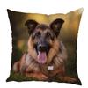 Персиковый кожаный чехол для подушки Подушка с изображением овчарки Домашнее животное Животное Подходит для детской комнаты