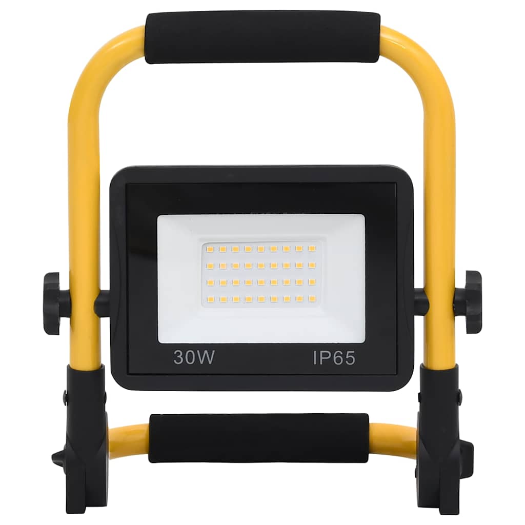 LED Floodlight with Handle 30 W Cool White