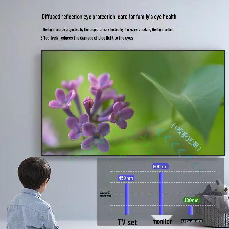 Baidun 8K HD Anti-Light Fixed Frame Projector Screen