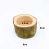 Random Shape Pet Hamster Fruit Wood Food Bowl Hamster Golden Bear Squirrel Food Bowl Log Gnawing Toy for Small Animals Food Bowl