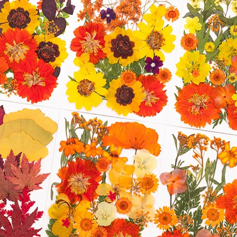 Натуральные сушеные цветы для эпоксидных форм Набор сухих цветов и листьев для искусства, ремесла, изготовления свечей, ювелирных изделий, скрапбукинга