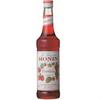 MONIN Shaved Ice Syrup Raspberry Syrup Flavor 700ml Japan NEW