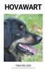 Книга Hovawart